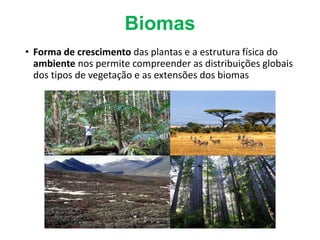 Biomas
• Forma de crescimento das plantas e a estrutura física do
ambiente nos permite compreender as distribuições globais
dos tipos de vegetação e as extensões dos biomas
 