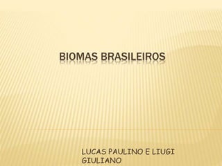 BIOMAS BRASILEIROS 
LUCAS PAULINO E LIUGI 
GIULIANO 
 