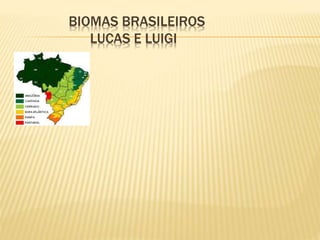 BIOMAS BRASILEIROS 
LUCAS E LUIGI 
 