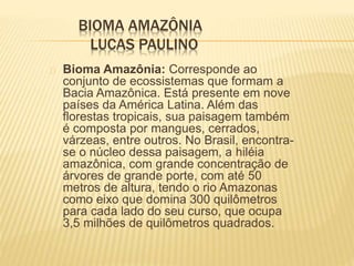 BIOMA AMAZÔNIA 
LUCAS PAULINO 
Bioma Amazônia: Corresponde ao 
conjunto de ecossistemas que formam a 
Bacia Amazônica. Está presente em nove 
países da América Latina. Além das 
florestas tropicais, sua paisagem também 
é composta por mangues, cerrados, 
várzeas, entre outros. No Brasil, encontra-se 
o núcleo dessa paisagem, a hiléia 
amazônica, com grande concentração de 
árvores de grande porte, com até 50 
metros de altura, tendo o rio Amazonas 
como eixo que domina 300 quilômetros 
para cada lado do seu curso, que ocupa 
3,5 milhões de quilômetros quadrados. 
 