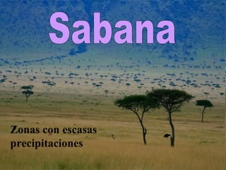 Sabana Zonas con escasas precipitaciones 