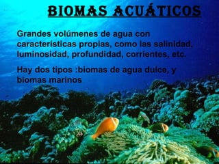 Biomas acuáticos Grandes volúmenes de agua con características propias, como las salinidad, luminosidad, profundidad, corrientes, etc. Hay dos tipos :biomas de agua dulce, y biomas marinos 