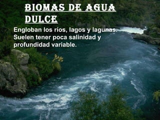 Biomas de agua dulce Engloban los ríos, lagos y lagunas. Suelen tener poca salinidad y profundidad variable. 