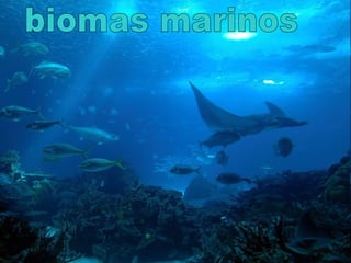 biomas marinos 