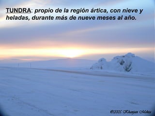 TUNDRA :  propio de la región ártica, con nieve y heladas, durante más de nueve meses al año.  
