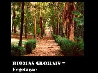 BIOMAS GLOBAIS =
Vegetação
 