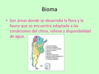 Bioma 
• Son áreas donde se desarrolla la flora y la 
fauna que se encuentra adaptada a las 
condiciones del clima, relieve y disponibilidad 
de agua. 
 