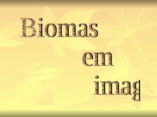 Biomas  em imagens 