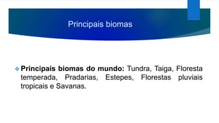 Principais biomas
 Principais biomas do mundo: Tundra, Taiga, Floresta
temperada, Pradarias, Estepes, Florestas pluviais
tropicais e Savanas.
 