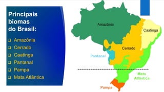 Principais
biomas
do Brasil:
 Amazônia
 Cerrado
 Caatinga
 Pantanal
 Pampa
 Mata Atlântica
 