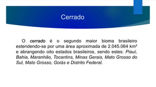 Cerrado
O cerrado é o segundo maior bioma brasileiro
estendendo-se por uma área aproximada de 2.045.064 km²
e abrangendo oito estados brasileiros, sendo estes: Piauí,
Bahia, Maranhão, Tocantins, Minas Gerais, Mato Grosso do
Sul, Mato Grosso, Goiás e Distrito Federal.
 