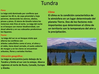 Tundra
Flora:
La taiga está dominada por coníferas que
superan los 40 m, de copa piramidal y hoja
perenne, destacando los alerces, abetos,
píceas y pinos. El alerce de Gmelin tolera los
inviernos más fríos al norte. La taiga del norte
es el bosque con menor biodiversidad, con
dosel abierto y en sus subsuelos predominan
los líquenes.
Fauna:
La taiga del sur es un bosque mixto que
alterna las coníferas con
árboles caducifolios como el arce, el olmo y
el roble, tiene dosel cerrado, el suelo cubierto
de musgos y en los claros se encuentran
arbustos, flores y variadas hierbas.
Ubicación geográfica:
La taiga se encuentra justo debajo de la
Tundra y limita al sur con la estepa. Abarca
regiones al norte de Rusia, Canadá, Europa
y Alaska.
Clima
El clima es la condición característica de
la atmósfera en un lugar determinado del
planeta Tierra. Dos de los factores más
importantes que determinan el clima de
un territorio son la temperatura del aire y
la precipitación.
 