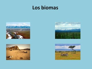 Los biomas
 