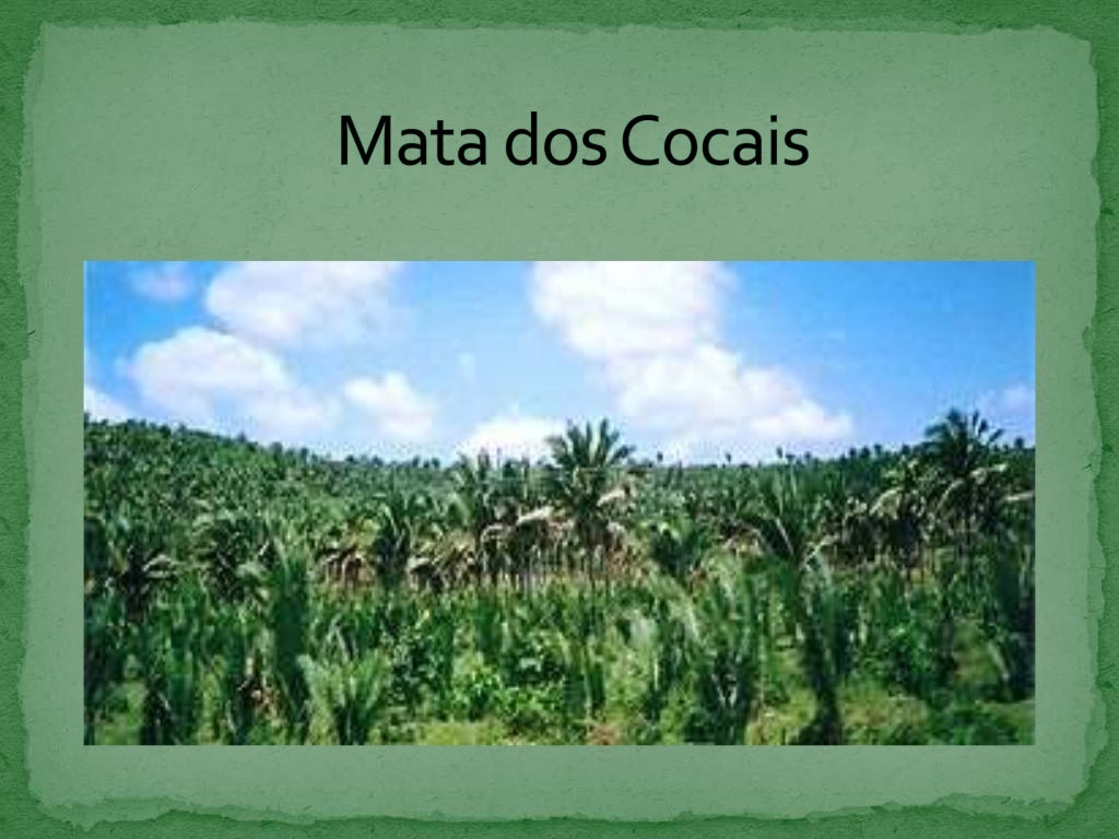 O Bioma Dos Cocais Caracteriza Se Principalmente Pela Presença De