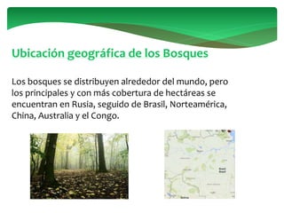 Ubicación geográfica de los Bosques
Los bosques se distribuyen alrededor del mundo, pero
los principales y con más cobertura de hectáreas se
encuentran en Rusia, seguido de Brasil, Norteamérica,
China, Australia y el Congo.
 