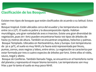 Clasificación de los Bosques
Existen tres tipos de bosques que están clasificados de acuerdo a su latitud. Estos
son:
Bosque tropical. Están ubicados cerca del ecuador y las temperaturas oscilan
entre 20 a 25°C. El suelo es pobre y la descomposición rápida. Habitan
murciélagos, una gran variedad de aves e insectos. Existe una gran diversidad de
vegetación, pues en 1 km2 pueden encontrarse hasta 100 tipos de árboles de
hasta 35 metros de altura. También se encuentran orquídeas, helechos y palmas.
Bosque Templado. Ubicados en Norteamérica, Asia y Europa. Con temperaturas
de -30 a 30°C, el suelo es muy fértil y la fauna está representada por linces,
pumas, zorros, osos negros y lobos, entre otros. La vegetación se caracteriza por
estar formada por tres o cuatro especies de árboles por km2. Entre ellos el roble,
sauce, nogal y abeto.
Bosque de Coníferas. También llamado Taiga, se encuentra en el hemisferio norte
del planeta y representa el mayor bioma terrestre. Las temperaturas son muy
frías y por lo tanto el suelo es muy poco fértil.
 