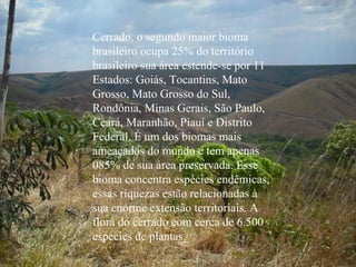 Cerrado, o segundo maior bioma
brasileiro ocupa 25% do território
brasileiro sua área estende-se por 11
Estados: Goiás, Tocantins, Mato
Grosso, Mato Grosso do Sul,
Rondônia, Minas Gerais, São Paulo,
Ceará, Maranhão, Piauí e Distrito
Federal. É um dos biomas mais
ameaçados do mundo e tem apenas
085% de sua área preservada. Esse
bioma concentra espécies endêmicas,
essas riquezas estão relacionadas à
sua enorme extensão territoriais. A
flora do cerrado com cerca de 6.500
espécies de plantas.
 