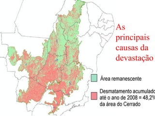 As
principais
causas da
devastação
 