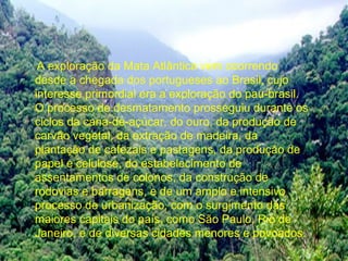 A exploração da Mata Atlântica vem ocorrendo
desde a chegada dos portugueses ao Brasil, cujo
interesse primordial era a exploração do pau-brasil.
O processo de desmatamento prosseguiu durante os
ciclos da cana-de-açúcar, do ouro, da produção de
carvão vegetal, da extração de madeira, da
plantação de cafezais e pastagens, da produção de
papel e celulose, do estabelecimento de
assentamentos de colonos, da construção de
rodovias e barragens, e de um amplo e intensivo
processo de urbanização, com o surgimento das
maiores capitais do país, como São Paulo, Rio de
Janeiro, e de diversas cidades menores e povoados.
 