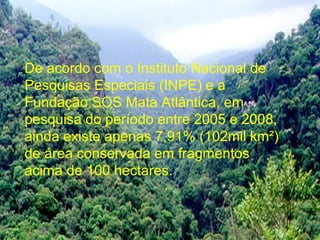 De acordo com o Instituto Nacional de
Pesquisas Especiais (INPE) e a
Fundação SOS Mata Atlântica, em
pesquisa do período entre 2005 e 2008,
ainda existe apenas 7,91% (102mil km²)
de área conservada em fragmentos
acima de 100 hectares.
 
