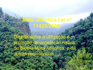 Mata atlântica Lei n°
        11428/2006

Dispõe sobre a utilização e
proteção da vegetação nativa
do Bioma Mata Atlântica, e dá
outras providências
 