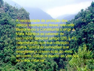 A necessidade de proteção dos
últimos exemplares desse relevante
bioma levou o Constituinte a erigir a
Mata Atlântica ao patamar de
patrimônio nacional (artigo 225, § 4º),
determinando que sua utilização
ocorra "dentro de condições que
assegurem a preservação do meio
ambiente, inclusive quanto ao uso dos
recursos naturais".
 