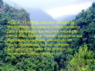 A Lei nº. 11.428/08, cujo teor consiste na
determinação de regras e condicionamentos
para a exploração dos recursos naturais do
bioma Mata Atlântica, visando garantir-se sua
exploração sustentável, em respeito ao
direito fundamental ao meio ambiente
ecologicamente sadio e ao princípio do
desenvolvimento sustentável.
 