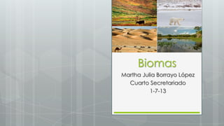 Biomas
Martha Julia Borrayo López
Cuarto Secretariado
1-7-13
 