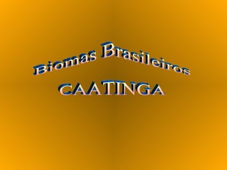 Biomas Brasileiros CAATINGA 