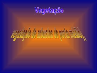 Vegetação vegetação de arbustos de porte médio), 