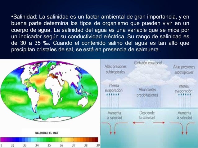 Biomas, Medio Marino.