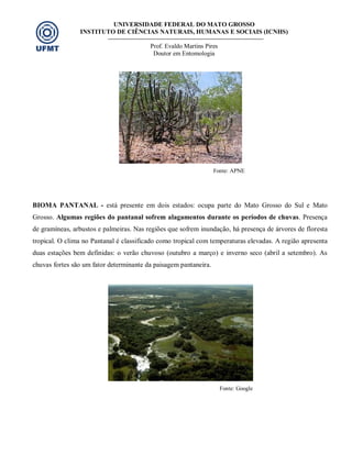 UNIVERSIDADE FEDERAL DO MATO GROSSO
INSTITUTO DE CIÊNCIAS NATURAIS, HUMANAS E SOCIAIS (ICNHS)
Prof. Evaldo Martins Pires
Doutor em Entomologia
Fonte: APNE
BIOMA PANTANAL - está presente em dois estados: ocupa parte do Mato Grosso do Sul e Mato
Grosso. Algumas regiões do pantanal sofrem alagamentos durante os períodos de chuvas. Presença
de gramíneas, arbustos e palmeiras. Nas regiões que sofrem inundação, há presença de árvores de floresta
tropical. O clima no Pantanal é classificado como tropical com temperaturas elevadas. A região apresenta
duas estações bem definidas: o verão chuvoso (outubro a março) e inverno seco (abril a setembro). As
chuvas fortes são um fator determinante da paisagem pantaneira.
Fonte: Google
 