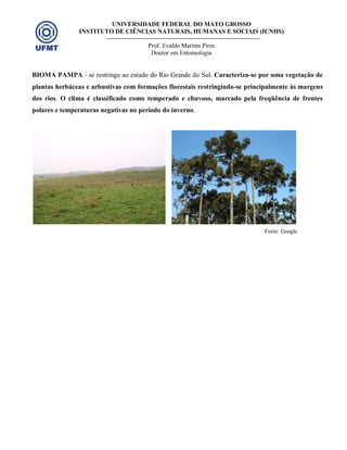 UNIVERSIDADE FEDERAL DO MATO GROSSO
INSTITUTO DE CIÊNCIAS NATURAIS, HUMANAS E SOCIAIS (ICNHS)
Prof. Evaldo Martins Pires
Doutor em Entomologia
BIOMA PAMPA - se restringe ao estado do Rio Grande do Sul. Caracteriza-se por uma vegetação de
plantas herbáceas e arbustivas com formações florestais restringindo-se principalmente às margens
dos rios. O clima é classificado como temperado e chuvoso, marcado pela freqüência de frentes
polares e temperaturas negativas no período do inverno.
Fonte: Google
 
