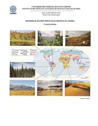 UNIVERSIDADE FEDERAL DO MATO GROSSO
INSTITUTO DE CIÊNCIAS NATURAIS, HUMANAS E SOCIAIS (ICNHS)
Prof. Evaldo Martins Pires
Doutor em Entomologia
DISTRIBUIÇÃO DOS PRINCIPAIS BIOMAS DA TERRA
Características
Fonte: Google
 