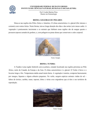 UNIVERSIDADE FEDERAL DO MATO GROSSO
INSTITUTO DE CIÊNCIAS NATURAIS, HUMANAS E SOCIAIS (ICNHS)
Prof. Evaldo Martins Pires
Doutor em Entomologia
BIOMA: GELEIRAS OU POLARES
Situa-se nas regiões dos Pólos Ártico e Antartico. O clima característico é o glacial (frio intenso e
cortante) com ventos fortes. Neste bioma, tem-se longa duração dos dias e das noites (seis meses cada). A
vegetação é praticamente inexistente e os animais que habitam essas regiões são de sangue quente e
possuem espessa camada de gordura, e, com pelagem ou penas densa que conservam o calor corporal.
Fonte: Google.
BIOMA: TUNDRA
A Tundra é uma região limítrofe com as polares, estando localizado nas regiões próximas ao Pólo
Ártico, norte do Canadá, da Europa e da Ásia. O clima característico é o glacial. O Verão é breve e o
Inverno longo e frio. Temperatura média anual muito baixa. A vegetação é rasteira, composta basicamente
por musgos, líquenes e alguns arbustos pequenos. No verão, surgem espécies animais vindas de sul –
lebres do árctico, caribús, renas, raposas, lobos e várias aves migradoras que aí têm o seu território de
reprodução.
Fonte: Google.
 