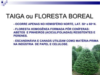TAIGA ou FLORESTA BOREALTAIGA ou FLORESTA BOREAL
- OCORRE APENAS NO HEMISFÉRIO NORTE, LAT. 50o
e 60o
N.
- FLORESTA HOMOGÊNEA FORMADA PÔR CONÍFERAS:
ABETOS E PINHEIROS (ACICULIFOLIADAS) RESISTENTES E
PERENES.
- ESCANDINÁVIA E CANADÁ UTILIZAM COMO MATÉRIA-PRIMA
NA INDÚSTRIA DE PAPEL E CELULOSE.
 