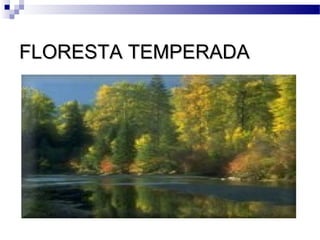 FLORESTA TEMPERADAFLORESTA TEMPERADA
 