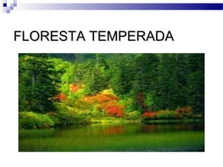 FLORESTA TEMPERADAFLORESTA TEMPERADA
 