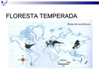 FLORESTA TEMPERADAFLORESTA TEMPERADA
 