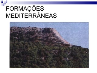 FORMAÇÕES
MEDITERRÂNEAS
 