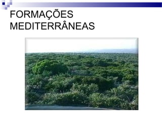 FORMAÇÕES
MEDITERRÂNEAS
 