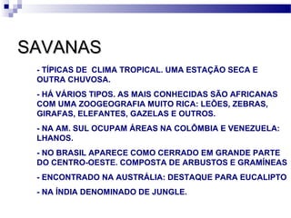 SAVANASSAVANAS
- TÍPICAS DE CLIMA TROPICAL. UMA ESTAÇÃO SECA E
OUTRA CHUVOSA.
- HÁ VÁRIOS TIPOS. AS MAIS CONHECIDAS SÃO AFRICANAS
COM UMA ZOOGEOGRAFIA MUITO RICA: LEÕES, ZEBRAS,
GIRAFAS, ELEFANTES, GAZELAS E OUTROS.
- NA AM. SUL OCUPAM ÁREAS NA COLÔMBIA E VENEZUELA:
LHANOS.
- NO BRASIL APARECE COMO CERRADO EM GRANDE PARTE
DO CENTRO-OESTE. COMPOSTA DE ARBUSTOS E GRAMÍNEAS
- ENCONTRADO NA AUSTRÁLIA: DESTAQUE PARA EUCALIPTO
- NA ÍNDIA DENOMINADO DE JUNGLE.
 