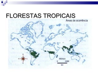 FLORESTAS TROPICAISFLORESTAS TROPICAIS
 