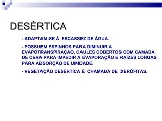 DESÉRTICADESÉRTICA
- ADAPTAM-SE À ESCASSEZ DE ÁGUA.
- POSSUEM ESPINHOS PARA DIMINUIR A
EVAPOTRANSPIRAÇÃO, CAULES COBERTOS COM CAMADA
DE CERA PARA IMPEDIR A EVAPORAÇÃO E RAÍZES LONGAS
PARA ABSORÇÃO DE UMIDADE.
- VEGETAÇÃO DESÉRTICA É CHAMADA DE XERÓFITAS.
 