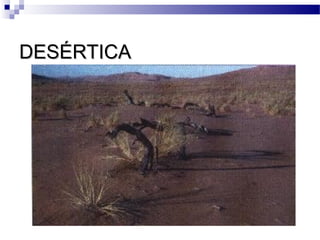 DESÉRTICADESÉRTICA
 