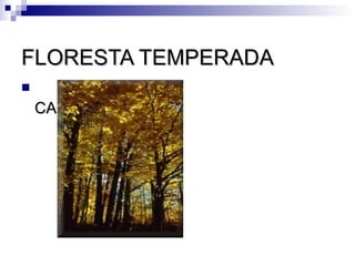FLORESTA TEMPERADA

    CADUCIFÓLIAS
 