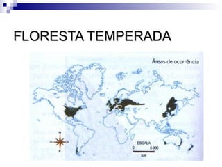 FLORESTA TEMPERADA
 