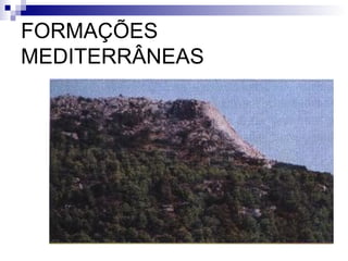 FORMAÇÕES
MEDITERRÂNEAS
 