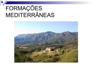 FORMAÇÕES
MEDITERRÂNEAS
 