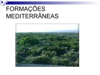 FORMAÇÕES
MEDITERRÂNEAS
 